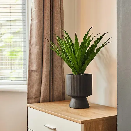 Host & - Westbourne House * Middlesbrough